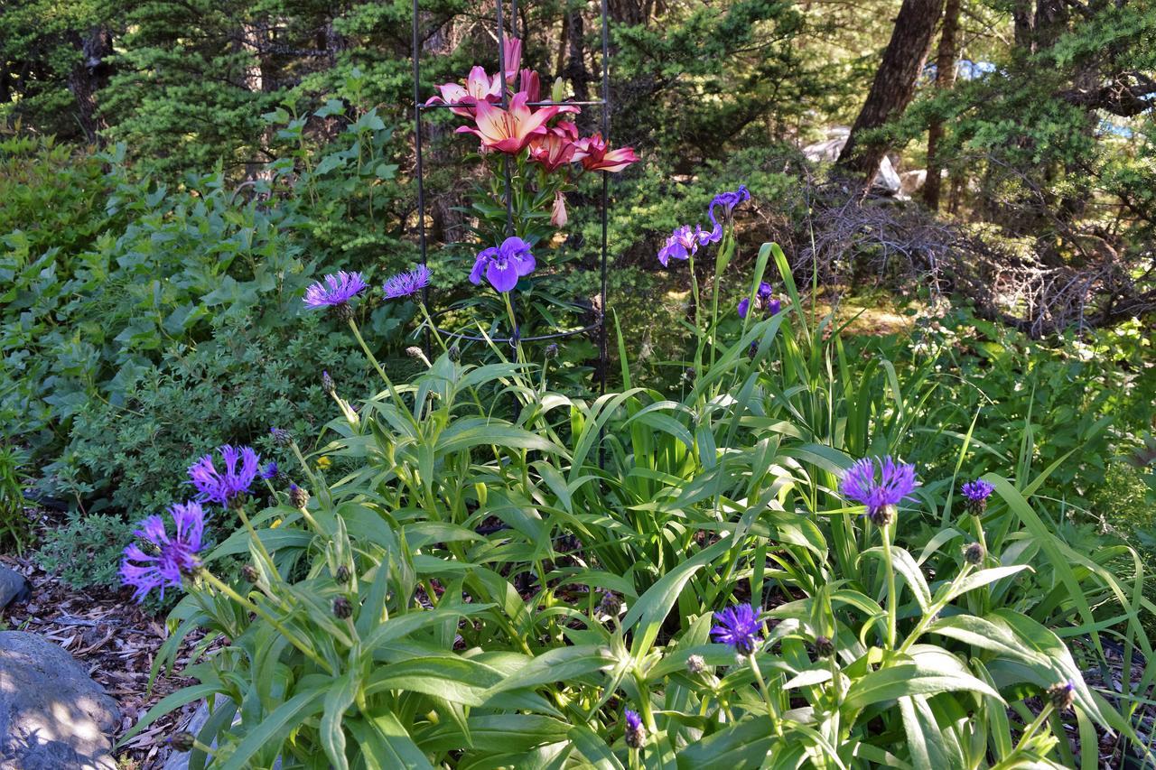 Hotel Crow Creek Girdwood Exterior foto